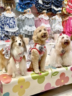 画像2: ツーウェイ☆グラフィティハート柄フェミニンワンピ・５号