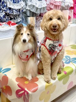 画像6: ツーウェイ☆グラフィティハート柄フェミニンワンピ・５号