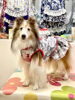 画像4: ツーウェイ☆グラフィティハート柄フェミニンワンピ・５号