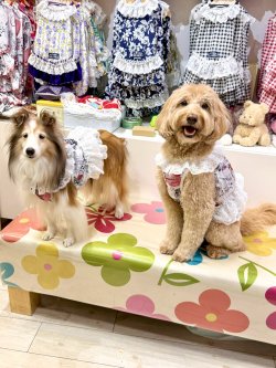 画像7: ツーウェイ☆グラフィティハート柄ガーリービスチェ・９号