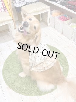 画像8: ツーウェイ☆ショコラドット柄ガーリービスチェ・２号