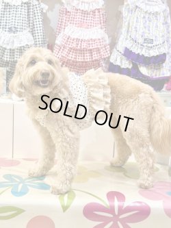 画像6: ツーウェイ☆ショコラドット柄ガーリービスチェ・２号