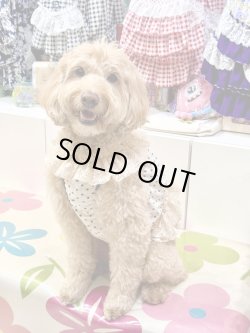 画像4: ツーウェイ☆ショコラドット柄ガーリービスチェ・２号