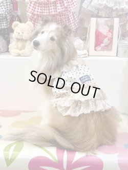 画像2: ツーウェイ☆ショコラドット柄ガーリービスチェ・２号