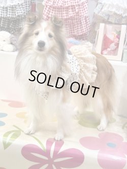 画像3: ツーウェイ☆ショコラドット柄ガーリービスチェ・２号