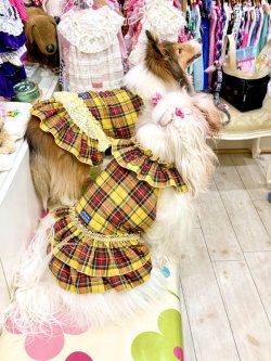 画像5: イエロータータン☆共布２段ガーリーワンピ・７号