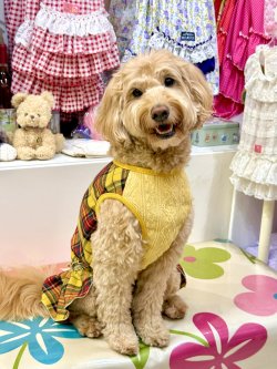 画像5: イエロータータン☆フェミニンワンピ・６号