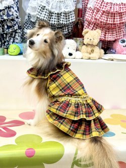 画像3: イエロータータン☆共布２段ガーリーワンピ・７号