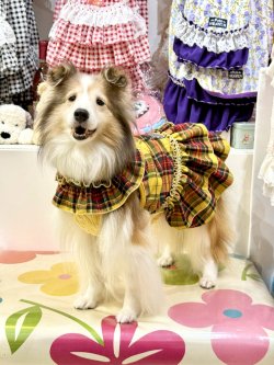 画像2: イエロータータン☆共布２段ガーリーワンピ・７号