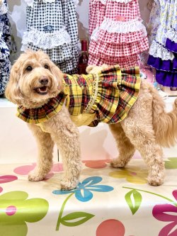 画像8: イエロータータン☆共布２段ガーリーワンピ・７号