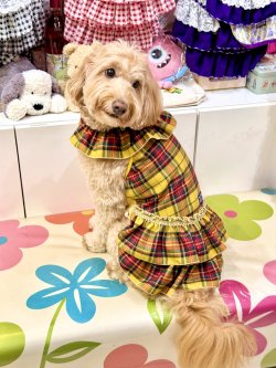 画像7: イエロータータン☆共布２段ガーリーワンピ・７号