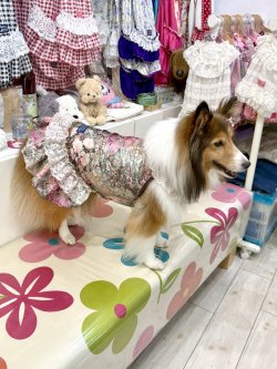 画像3: ツーウェイ☆ガーデンテラス柄ガーリーワンピ（ブラウン）・８号