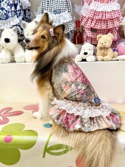 画像4: ツーウェイ☆ガーデンテラス柄ガーリーワンピ（ブラウン）・８号