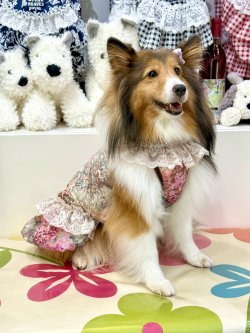 画像2: ツーウェイ☆ガーデンテラス柄ガーリーワンピ（ブラウン）・８号