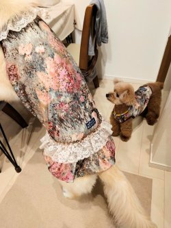 画像10: ツーウェイ☆ガーデンテラス柄ガーリーワンピ（ブラウン）・８号