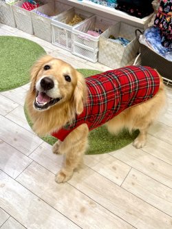 画像6: レッドタータン☆タンク・１０号