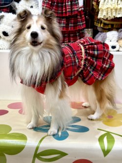 画像2: レッドタータン☆共布２段ガーリーワンピ・１号