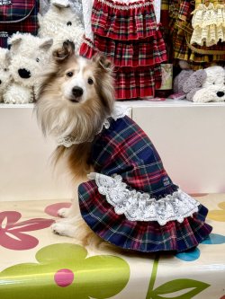 画像2: ネイビータータン☆レース付きガーリーワンピ・２号