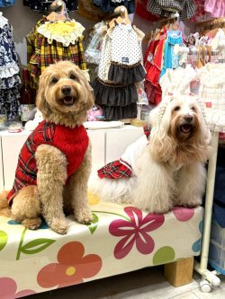 画像4: レッドタータン☆タンク・１０号