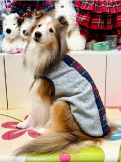 画像4: アランキルトニット☆タータンラインタンク（グレー）・１号