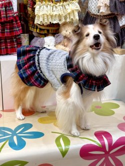 画像3: アランキルトニット☆タータンフリルワンピ（グレー）・１号