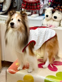 画像4: アランキルトニット☆タータンラインタンク（ホワイト）・１号