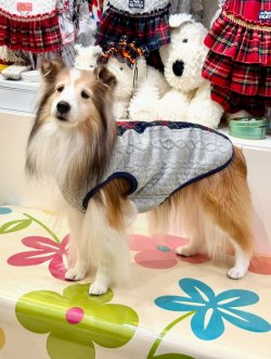 画像3: アランキルトニット☆タータンラインタンク（グレー）・１号