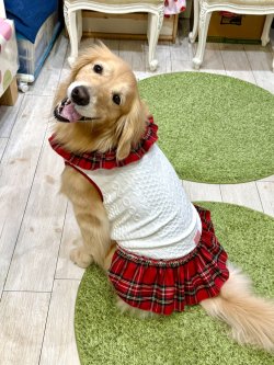 画像9: アランキルトニット☆タータンフリルワンピ（ホワイト）・６号