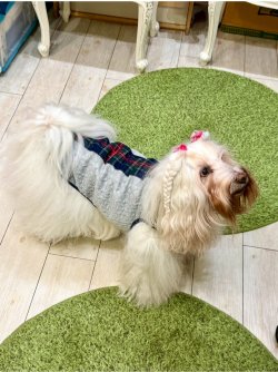 画像6: アランキルトニット☆タータンラインタンク（グレー）・１号