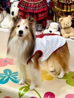 画像2: アランキルトニット☆タータンラインタンク（ホワイト）・１号