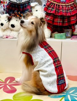 画像3: アランキルトニット☆タータンラインタンク（ホワイト）・１号