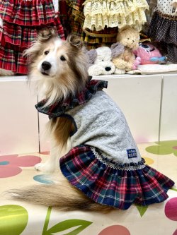 画像4: アランキルトニット☆タータンフリルワンピ（グレー）・１号