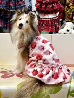 画像3: フワフワいちご柄フランネル☆フェミニンワンピ(ピンク)・６号