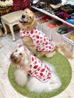 画像4: フワフワいちご柄フランネルタンク(ピンク)・１０号