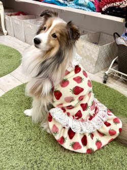 画像2: フワフワいちご柄フランネル☆ガーリーワンピ(ホワイト)・９号