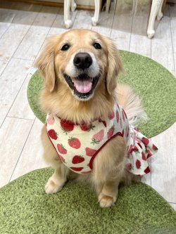 画像6: フワフワいちご柄フランネル☆フェミニンワンピ(ホワイト)・３号