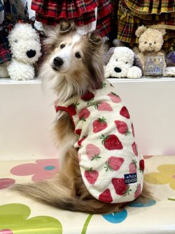 画像3: フワフワいちご柄フランネルタンク(ホワイト)・４号