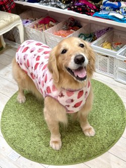 画像5: フワフワいちご柄フランネルタンク(ピンク)・１０号