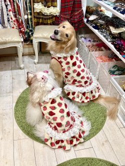 画像9: フワフワいちご柄フランネル☆ガーリーワンピ(ホワイト)・９号