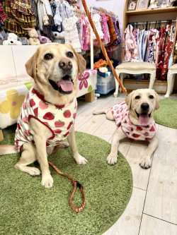 画像7: フワフワいちご柄フランネルタンク(ホワイト)・４号