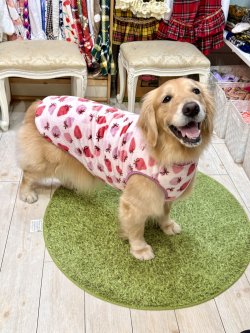 画像6: フワフワいちご柄フランネルタンク(ピンク)・１０号