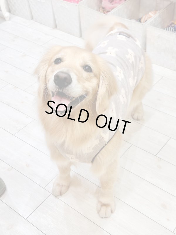 画像6: テディベア柄マイクロフランネルタンク（ブラウン）・７号