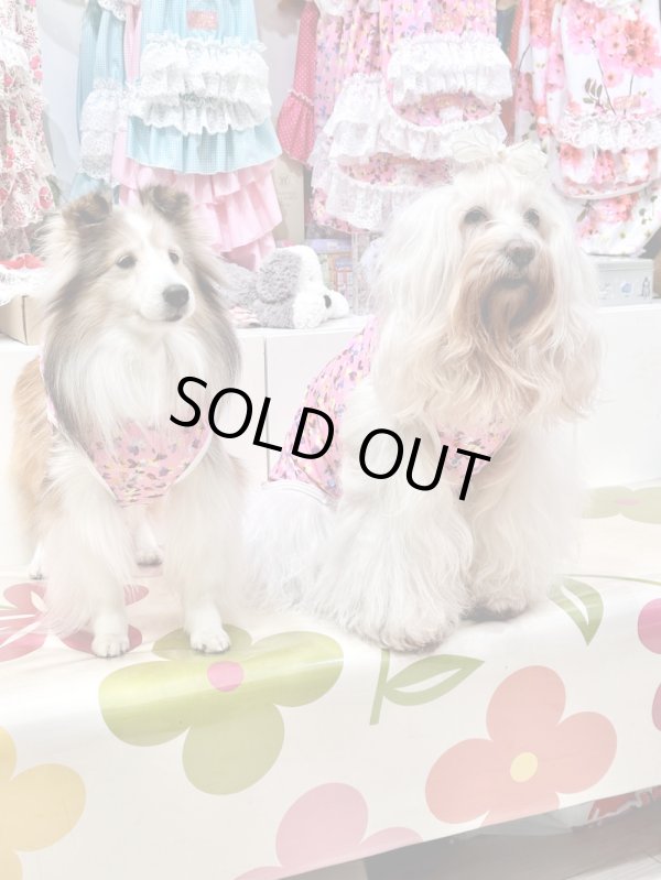 画像6: ツーウェイ☆ビオラ柄タンク・５号