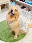 画像4: カラミドビー☆フルールワンピ(ミックス)・６号