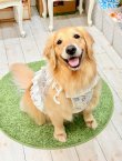 画像2: カラミドビー☆フルールビスチェ(ミックス)・６号