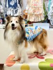 画像4: ライトツーウェイ☆ストレリチア柄タンク（アイボリー）・３号