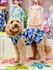 画像7: ライトツーウェイ☆ストレリチア柄フェミニンワンピ（ブルー）・２号