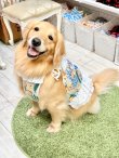 画像2: ライトツーウェイ☆ストレリチア柄ビスチェ（アイボリー）・６号