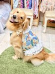 画像3: ライトツーウェイ☆ストレリチア柄ビスチェ（アイボリー）・６号