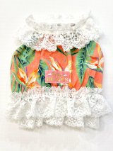 画像: ライトツーウェイ☆ストレリチア柄ビスチェ（オレンジ）・２号